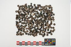 Foto von Bronzeknopf (NHMW-PRAE-025296)
